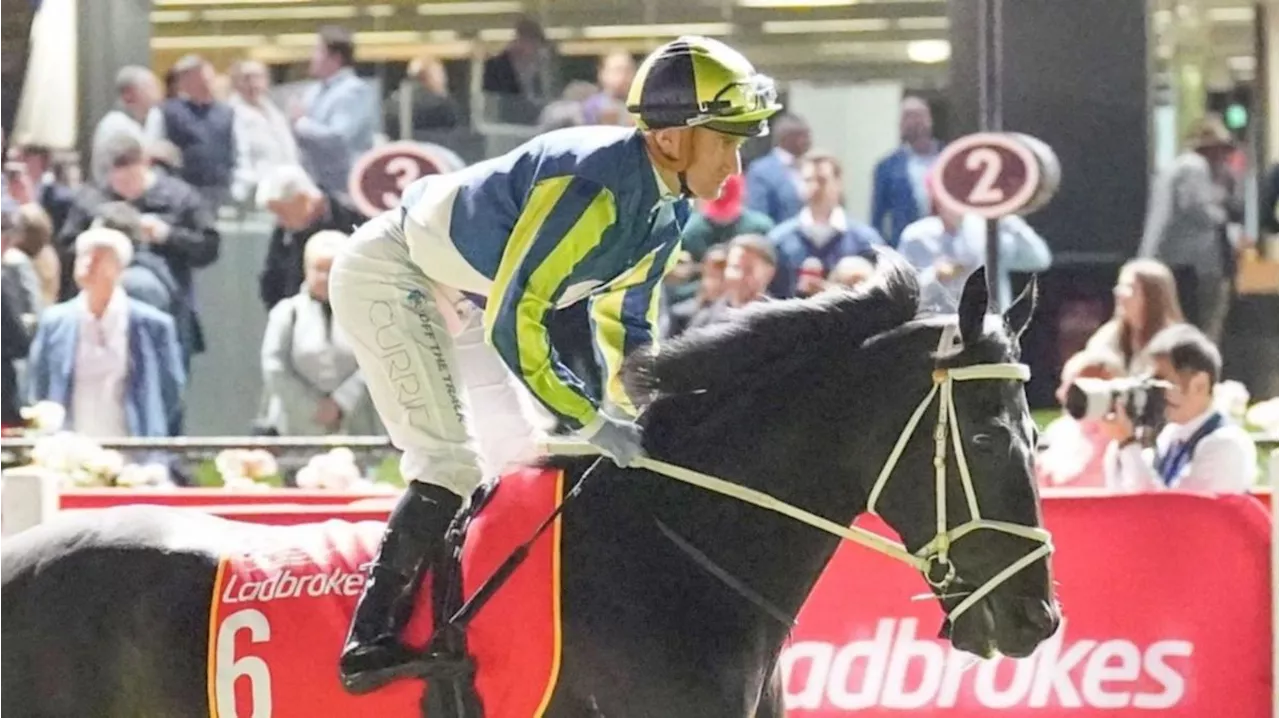 Brayden Star out of Melbourne Cup running as Sea King powers into famous Flemington race