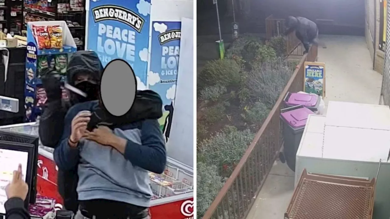 Police hunt for man who threatened supermarket employee with knife in Diggers Rest, Victoria