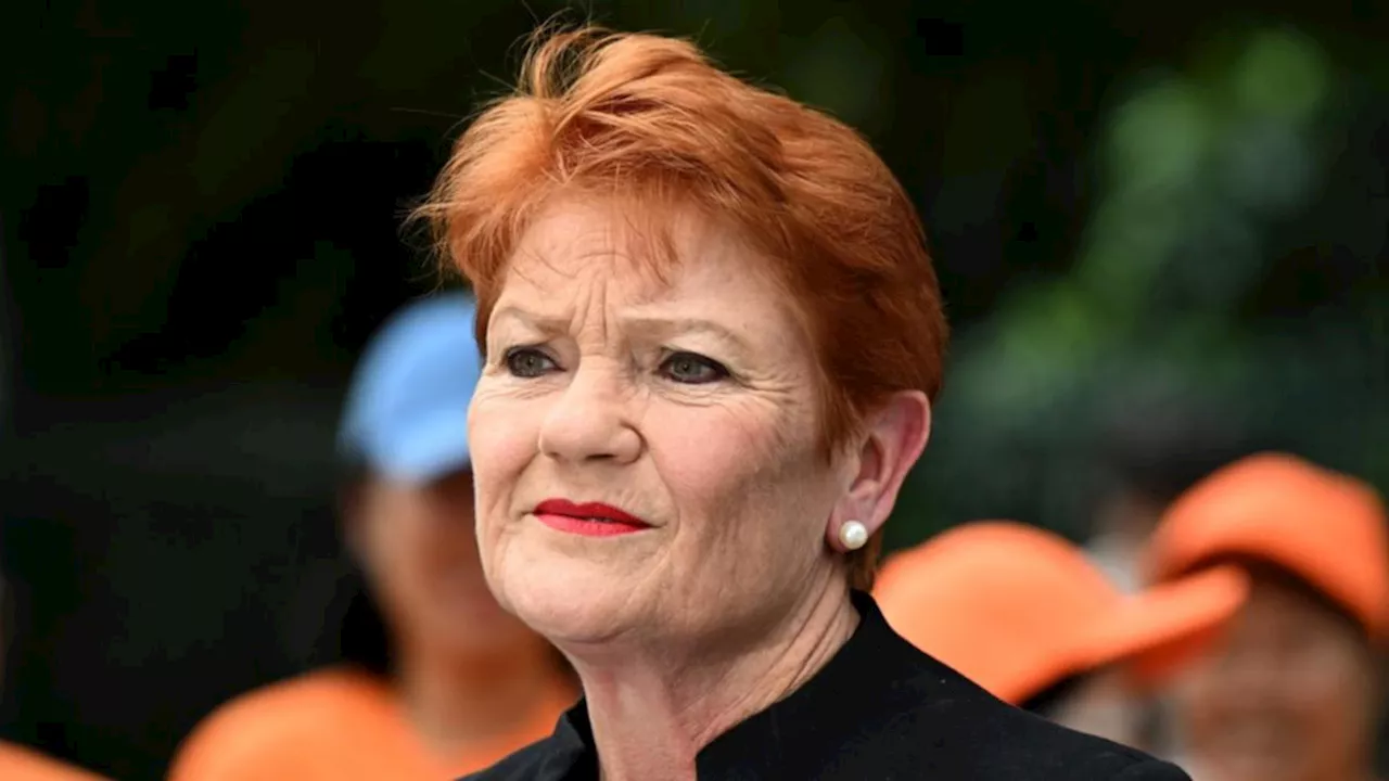 One Nation Senator Pauline Hanson’s comments racist, judge rules