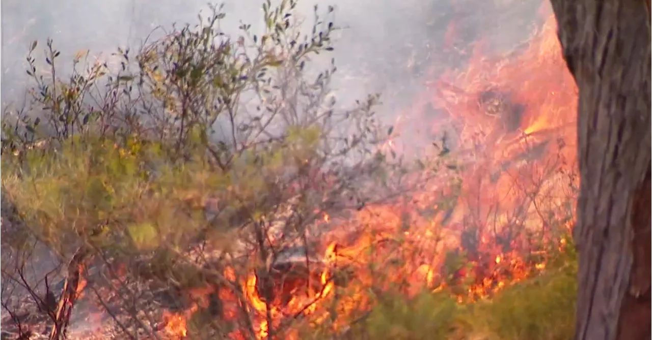 Fire danger seasons brought forward as South Australia braces for potentially devastating bushfires