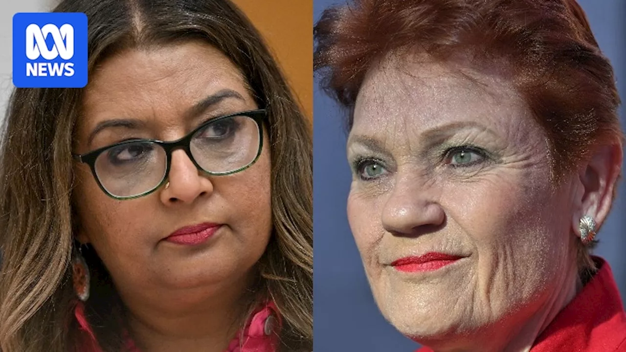 Pauline Hanson racially discriminated against Mehreen Faruqi in 'angry' tweet, judge rules