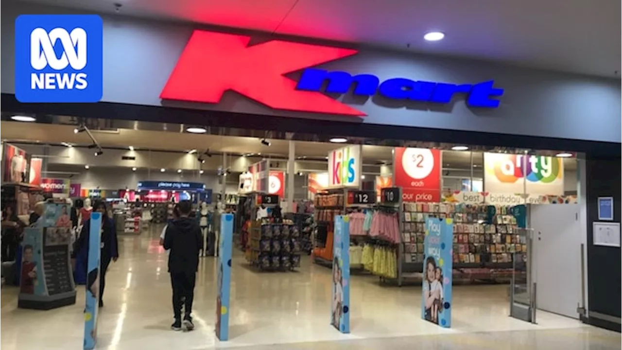 Wesfarmers, owner of Kmart and Bunnings, announces record $2.6 billion returns