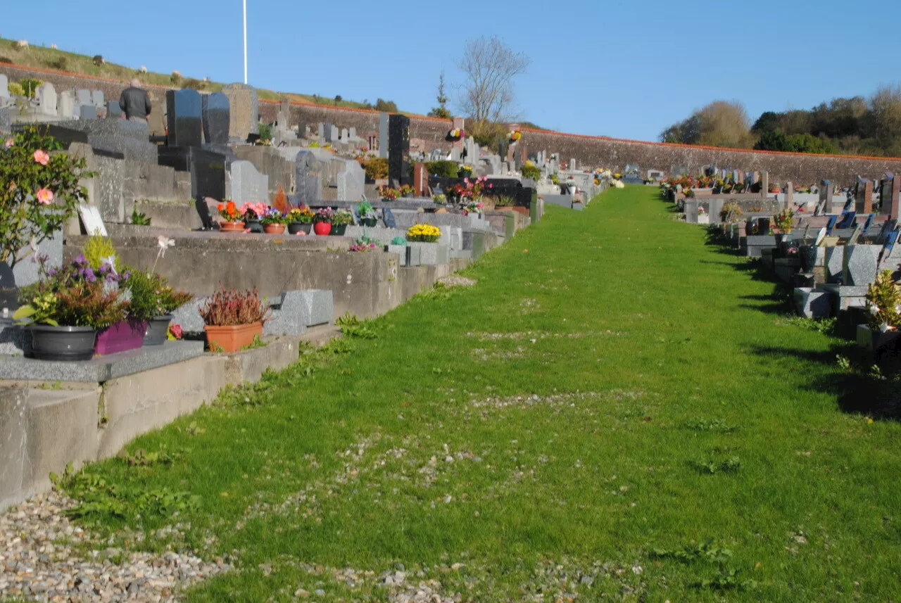 Un tapis vert a poussé sur les allées du cimetière de Mers-les-Bains