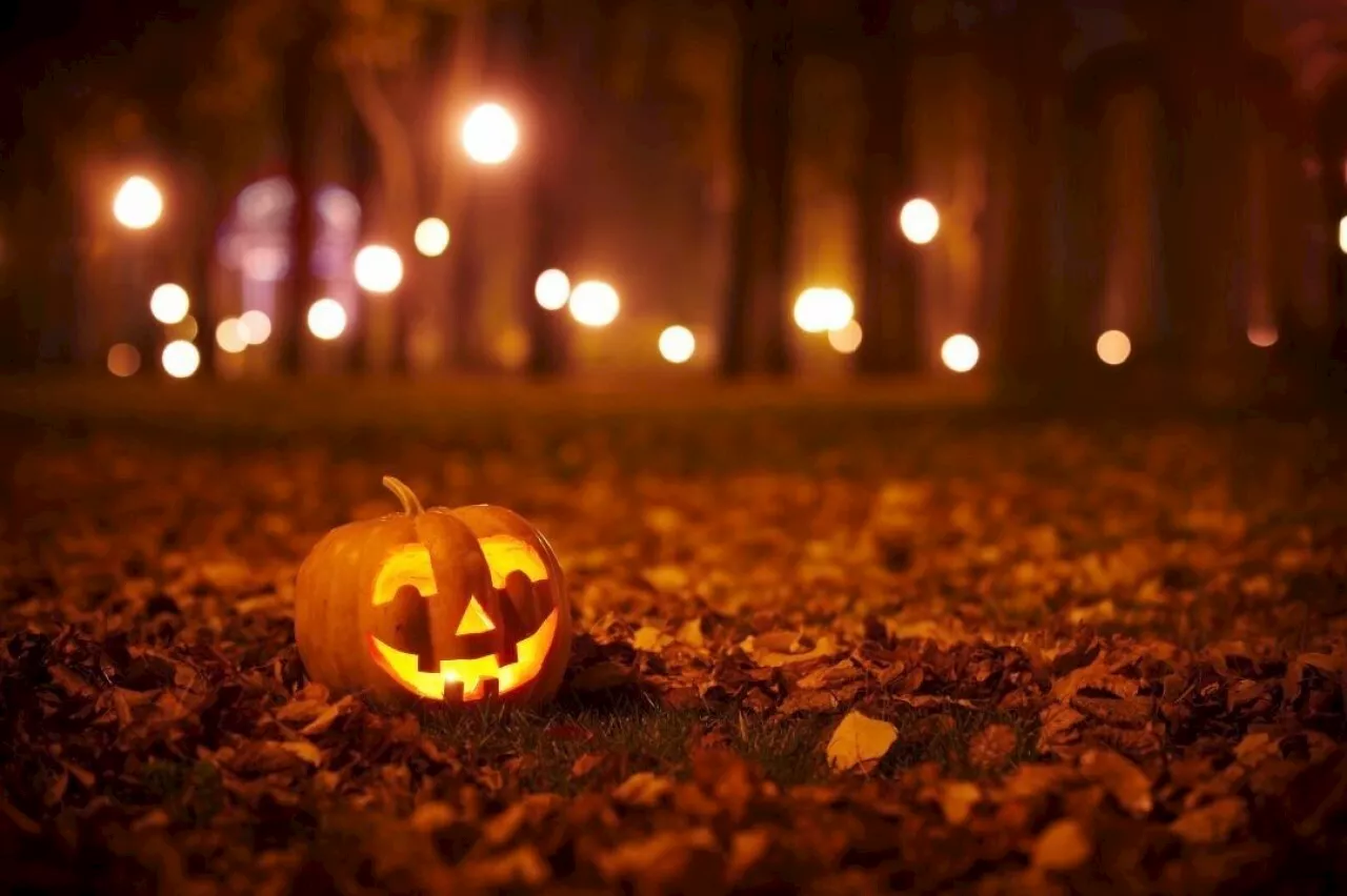 Voici trois sorties pour profiter de votre soirée d'Halloween dans le Haut-Rhin