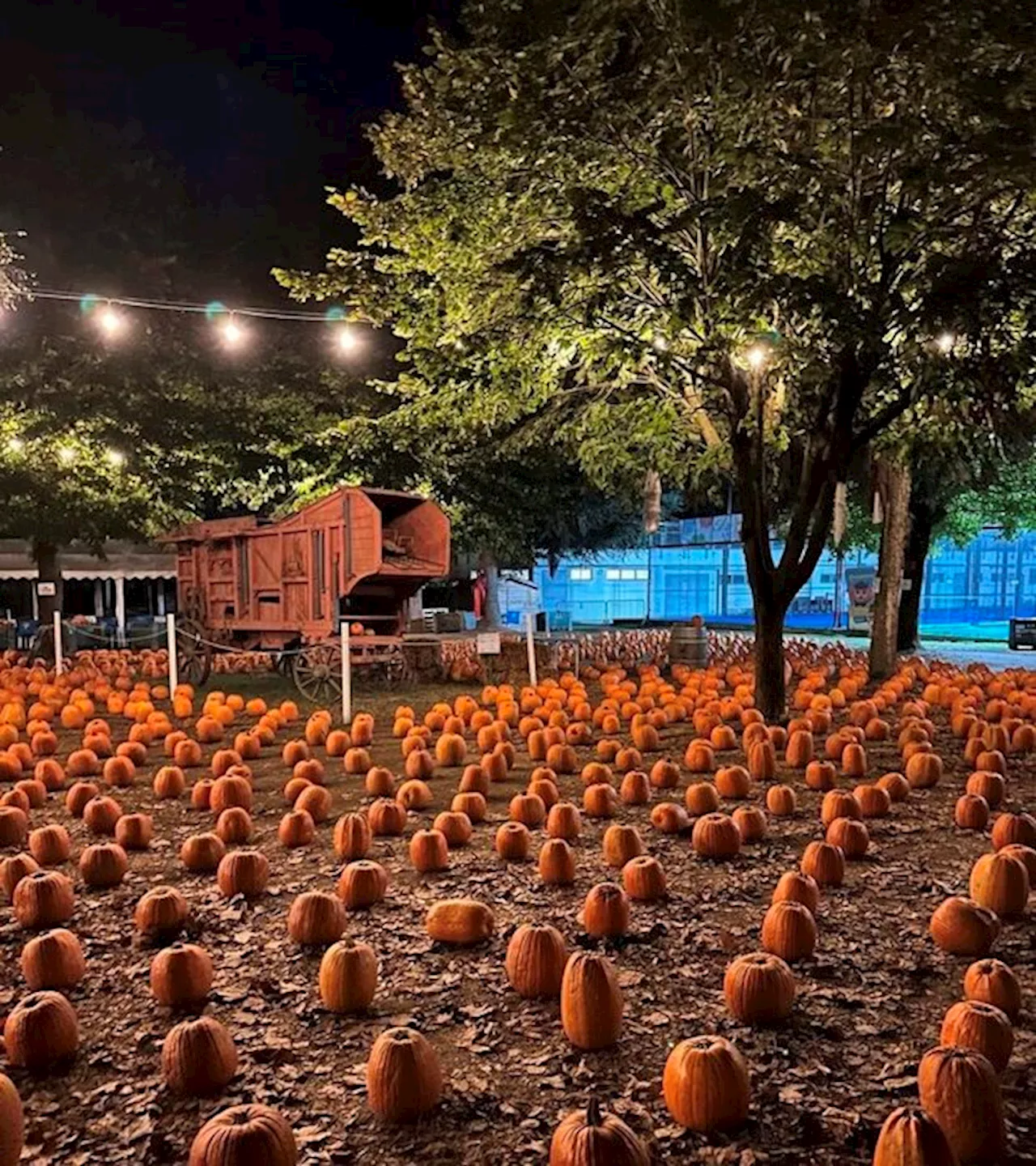 Halloween, 5 idee per la festa più spaventosa dell'anno