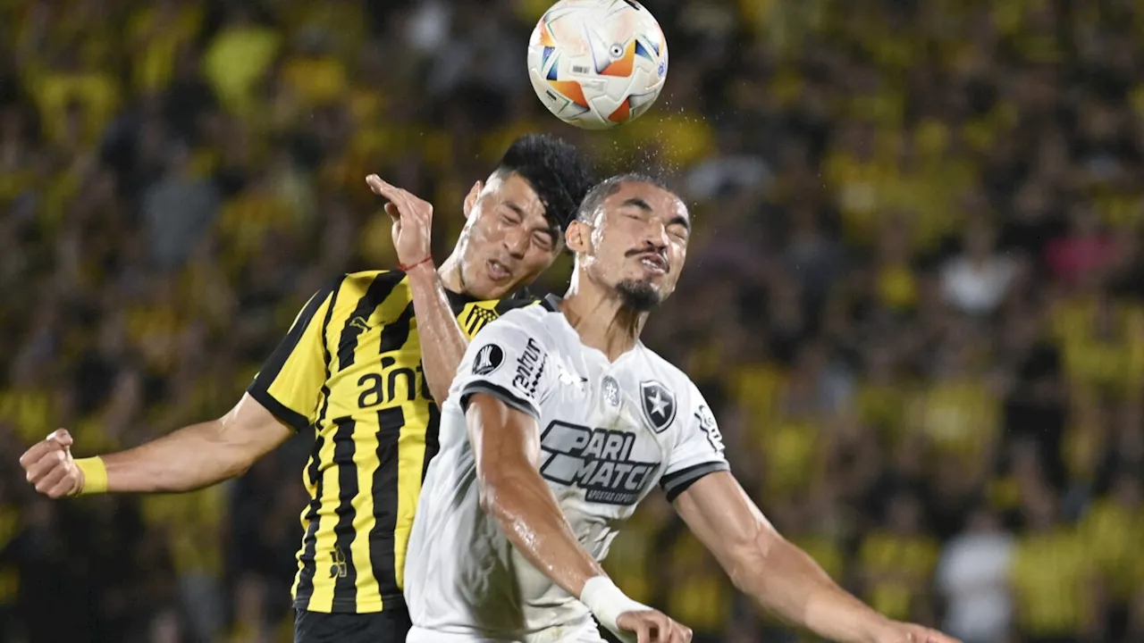 Brazil's Botafogo advances to its 1st Copa Libertadores final despite 3-1 loss at Penarol