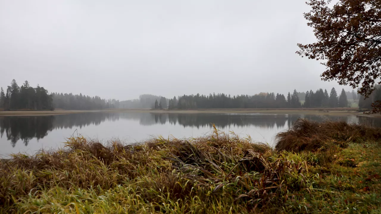 Herbstferien-Wetter in Bayern: Langes Wochenende beginnt mit Nebel und Sprühregen