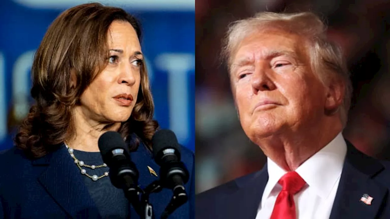 Kamala Harris vs Donald Trump: ce que disent les sondages dans les États clés