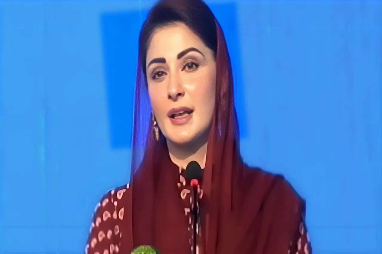 ‘1,000 super seeders will be provided to farmers across Punjab,’ Maryam Nawaz