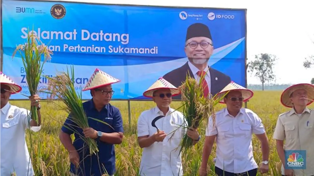 Turun ke Sawah Hingga Naik Mesin Combine, Zulhas Panen Raya di Subang