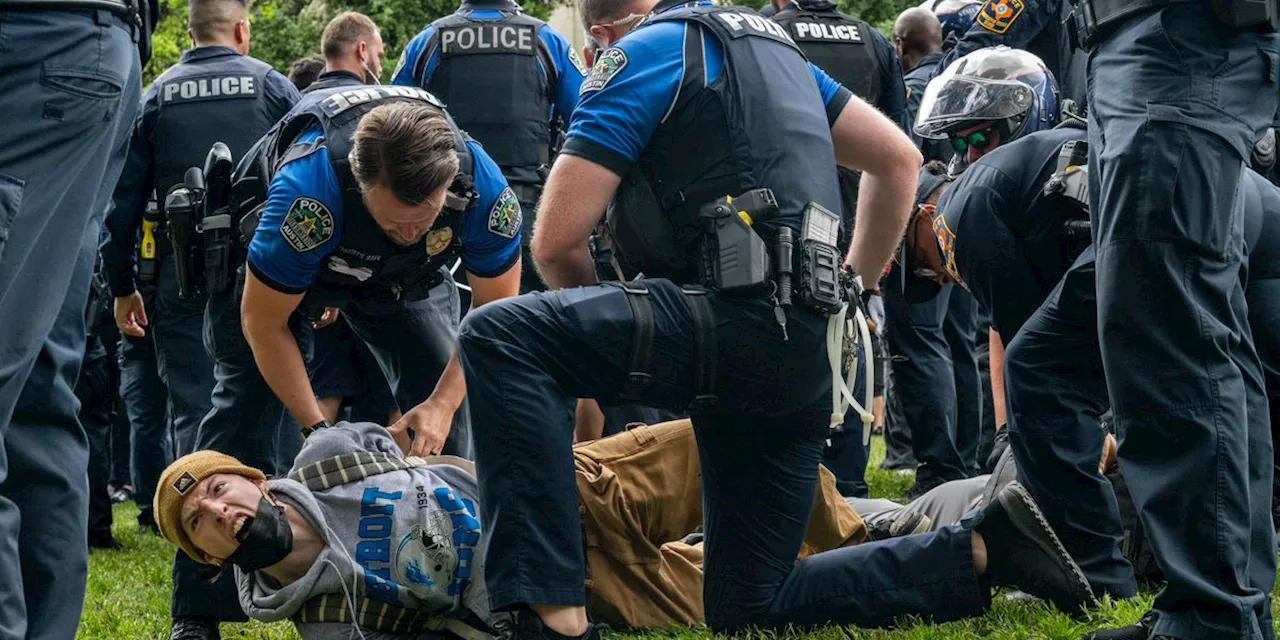 Rights Groups Demand End to 'Heavy-Handed' Crackdowns on Pro-Palestine Campus Protests