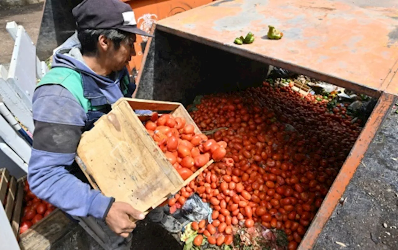 Cochabamba, 'le grenier de la Bolivie' asséché par les blocages