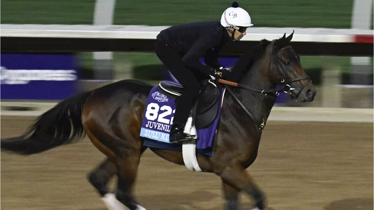 Breeders' Cup Predictions and Picks for Friday: Juvenile & Juvenile Turf