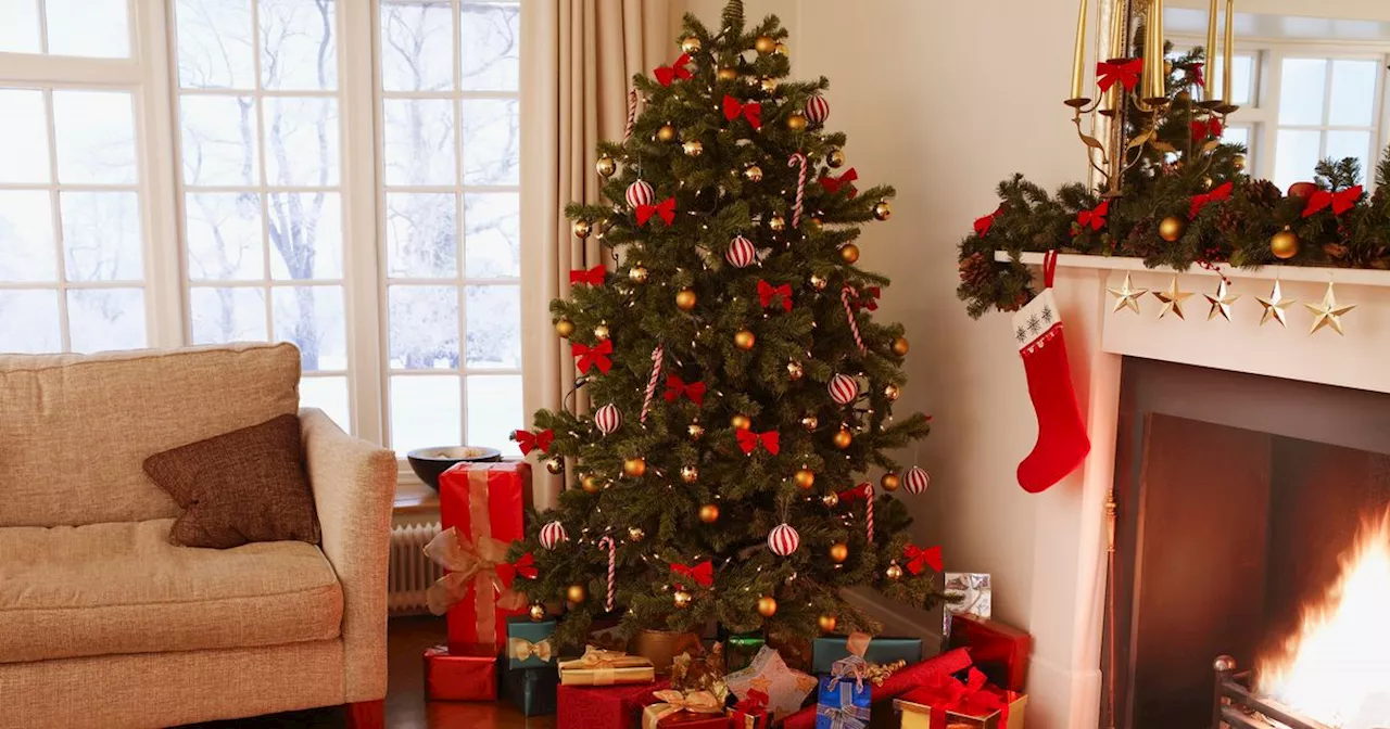 'I'm putting my Christmas tree up tomorrow – I don't care what people think'