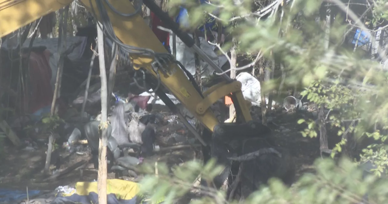 Crews clearing out trees, encampments in area known as 'The Jungle' in Pueblo