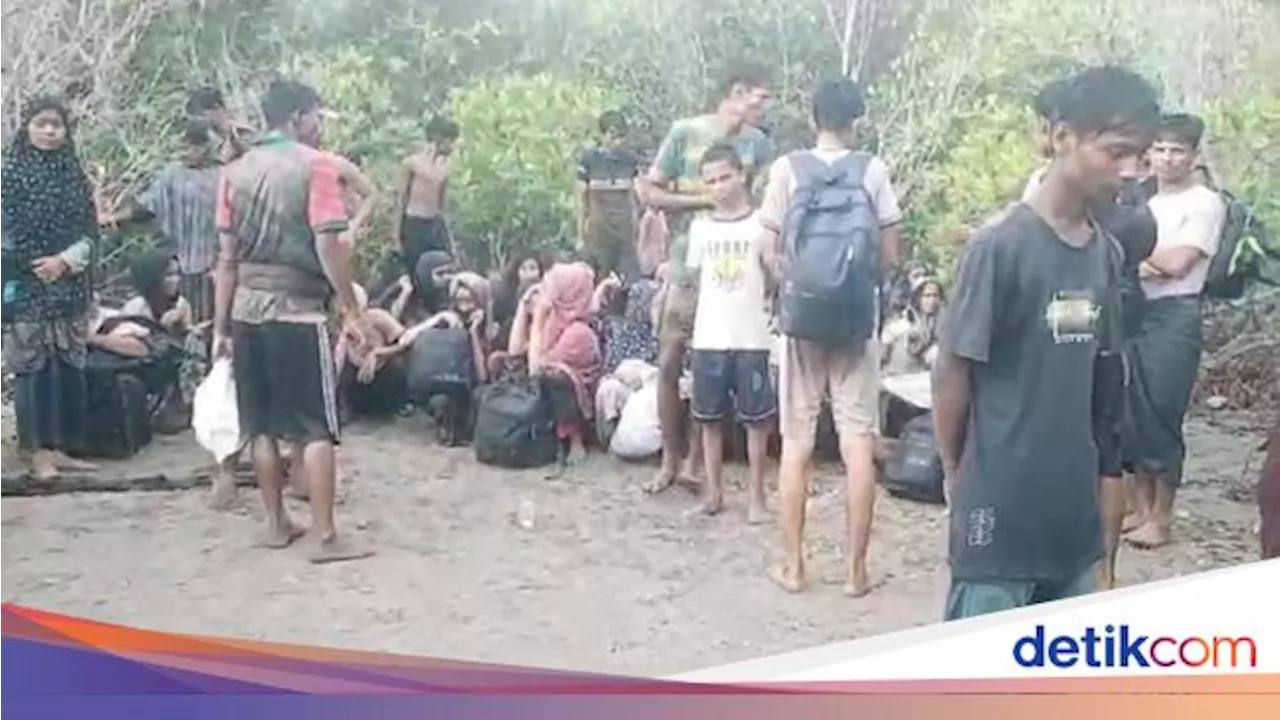 Pj Gubernur Ungkap Rohingya di Aceh Timur Kocar-kacir, Lagi Dicari Petugas