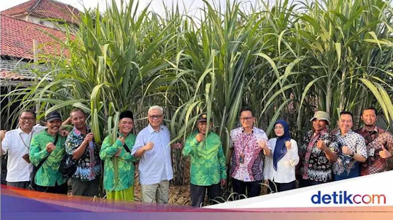 Bulog Beri Bantuan Traktor Dukung Produktivitas Petani Tebu di Blora