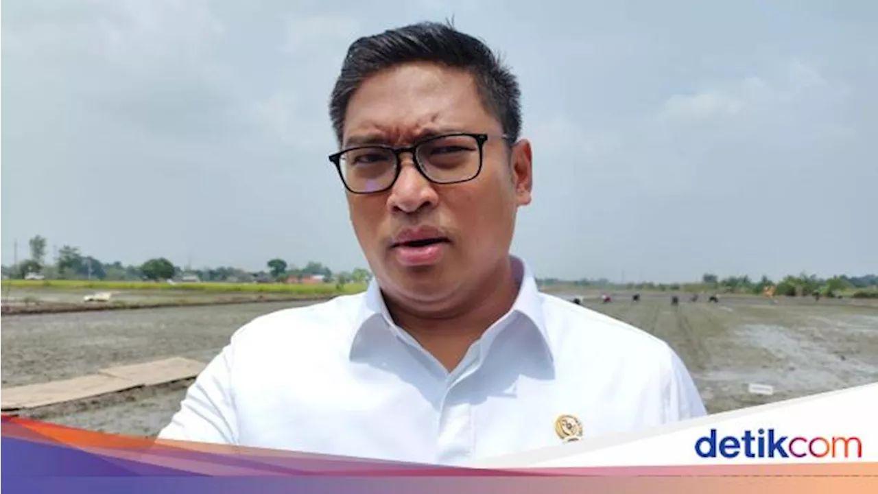 Kejar Swasembada Pangan, Wamentan Sudaryono Kawal Investasi Sapi-Susu