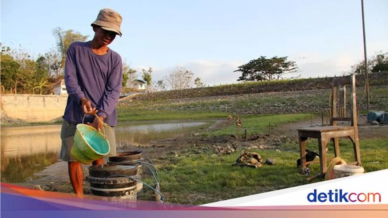 Ngeri! Perubahan Iklim Bisa Susutkan Ekonomi Negara hingga 17%