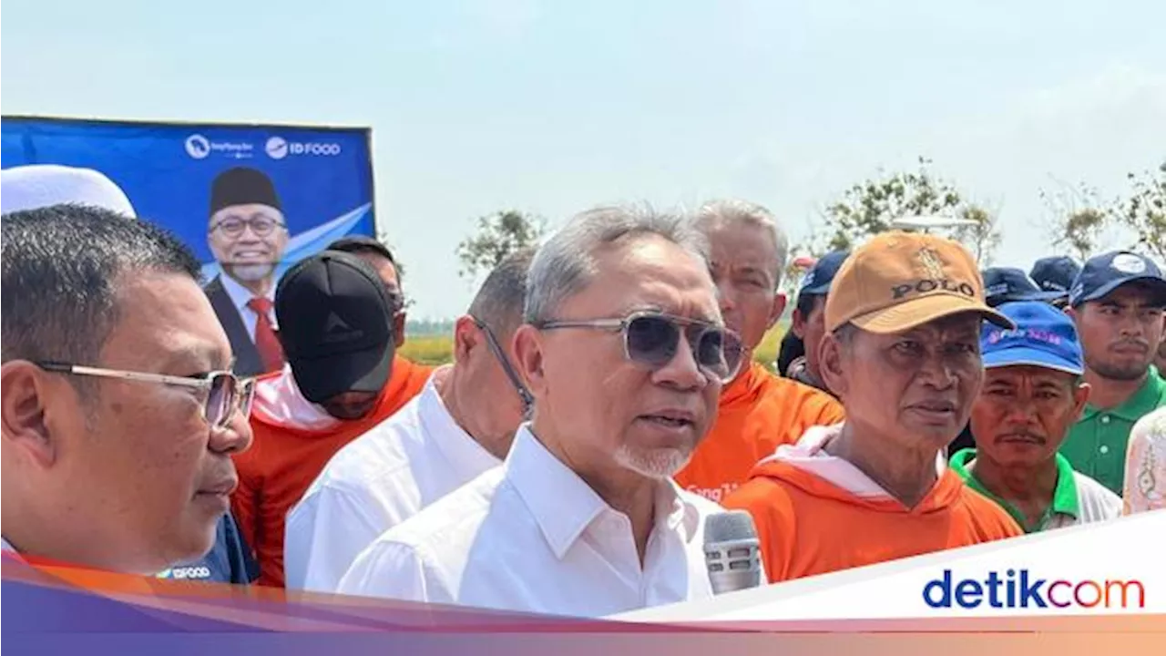 Zulhas Tinjau Sawah di Subang, Temukan Masalah Bibit-Pupuk Subsidi