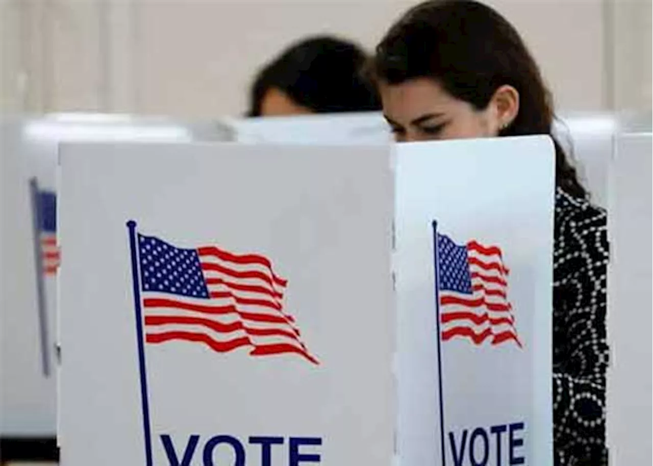 Urdu ballots introduced for 2024 US presidential election in key areas