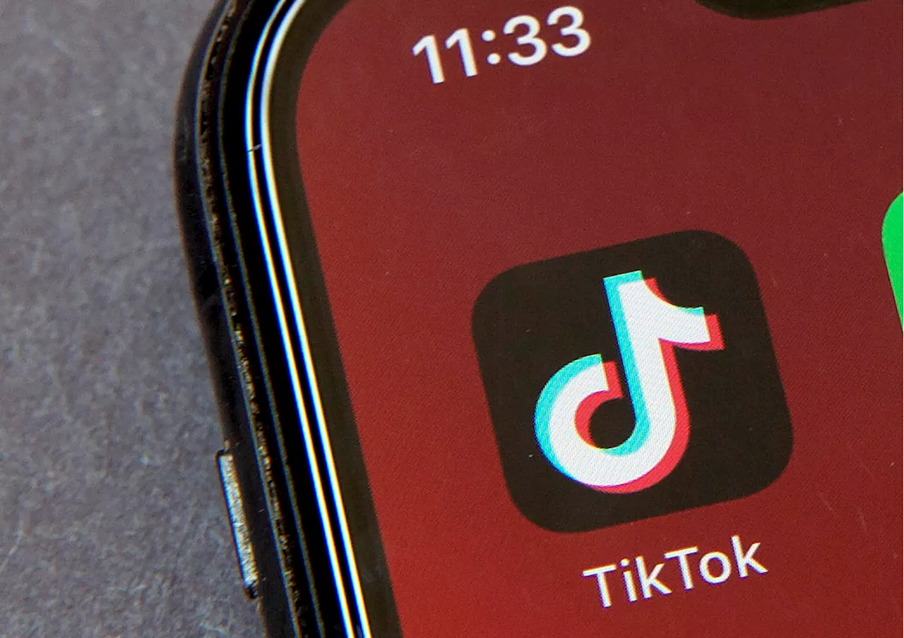 Apple urged TikTok to increase its age recommendations, redacted documents show