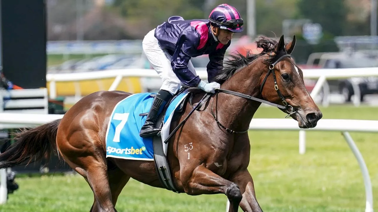 Derby Day form guide: Tips for Group 1 bonanza and $14 chance that can win the big one