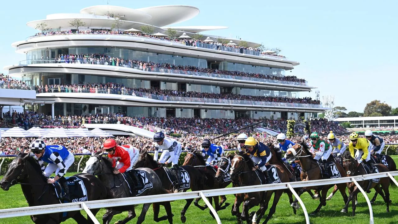 Melbourne Cup ultimate guide: How much winner gets and the horses punters are backing