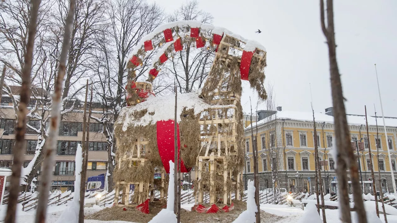 Kort sagt om Gävlebocken, kriminella, fiskekvoter…