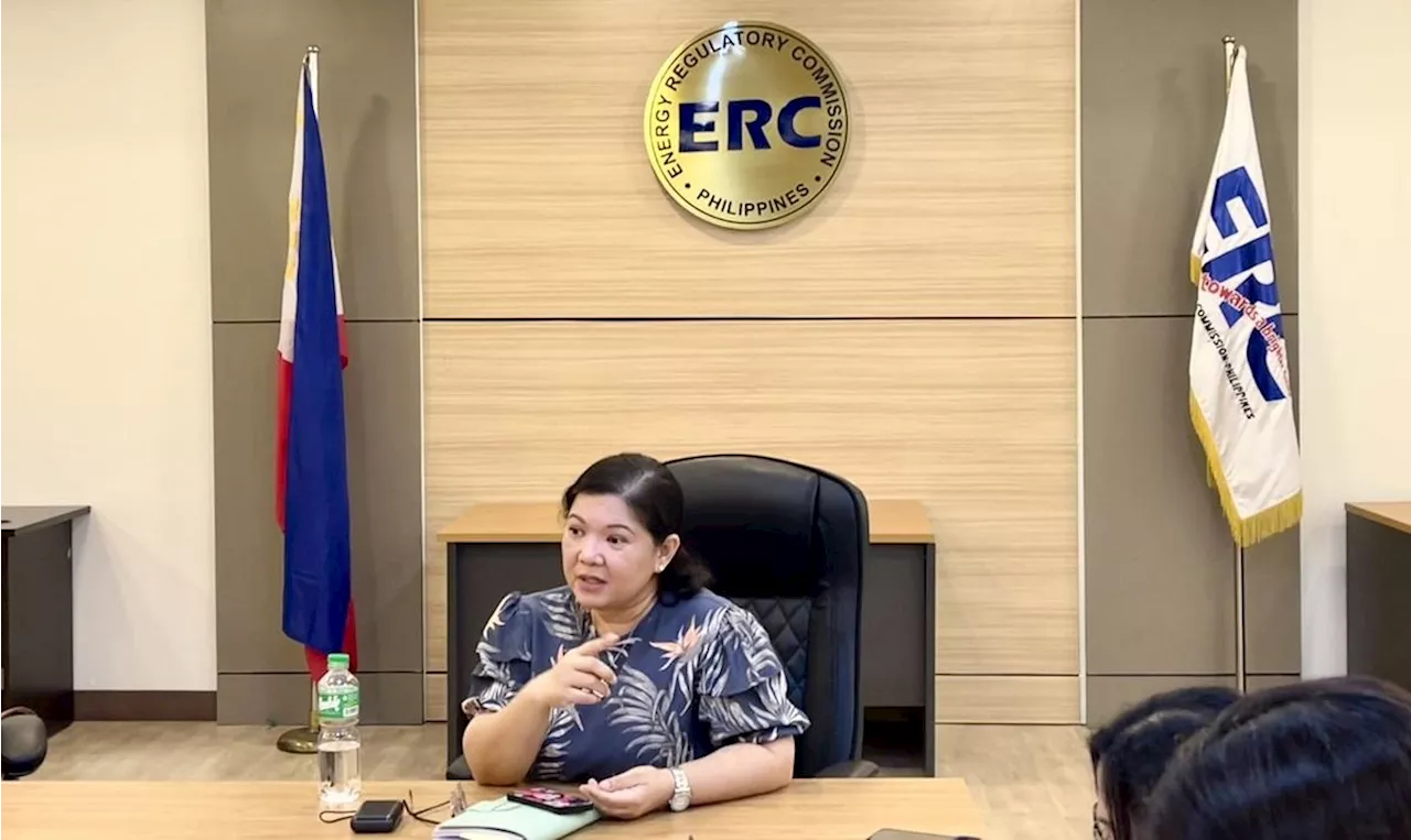 Palace reinstates ERC chair Dimalanta