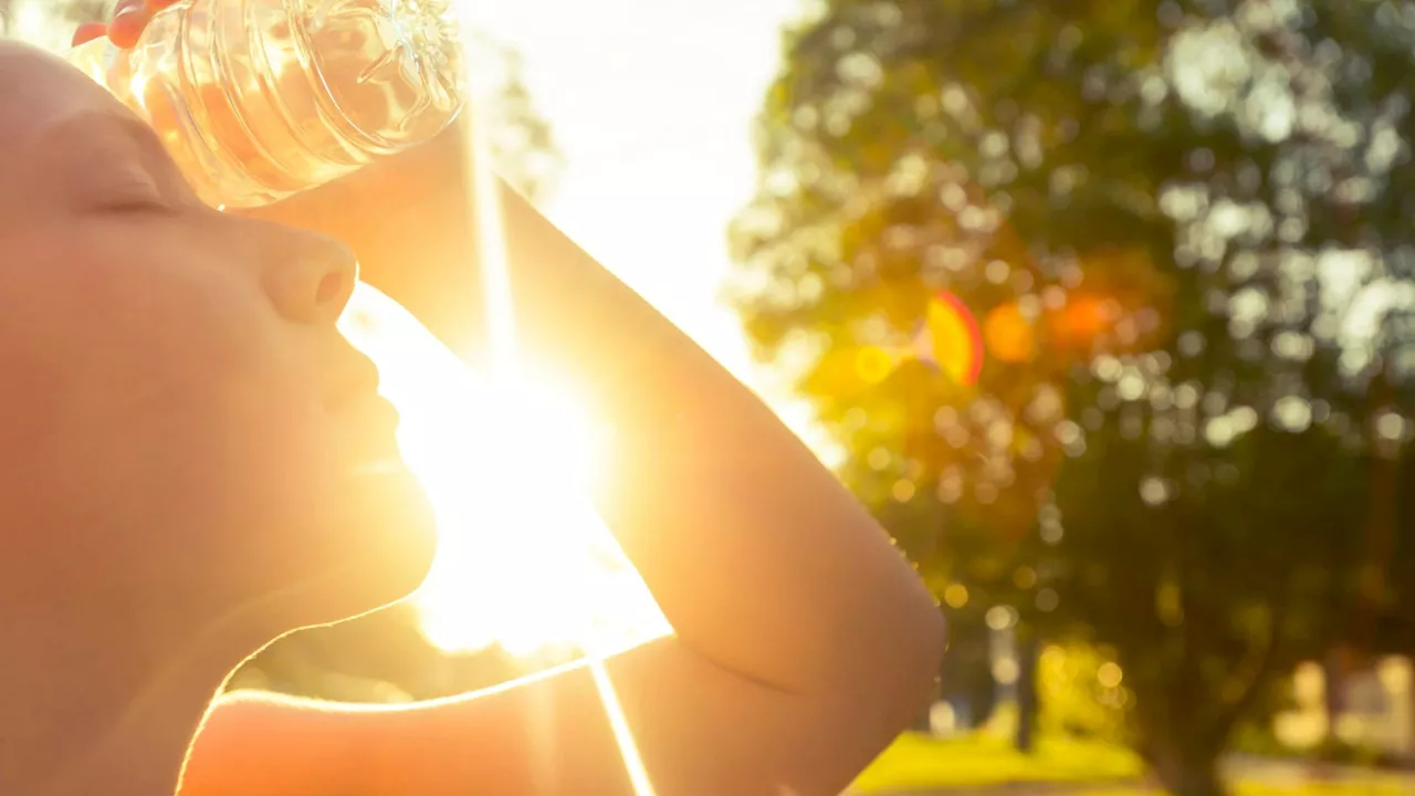 Viel zu hohe Temperaturen - Klimakrise mischte auch im Oktober kräftig mit