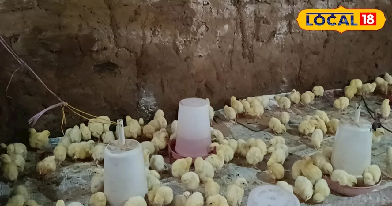 Poultry Farming: इंजीनियर की नौकरी छोड़ युवक बना किसान, शुरू की पॉल्ट्री फॉर्मिंग, अब लाखों में कमाई