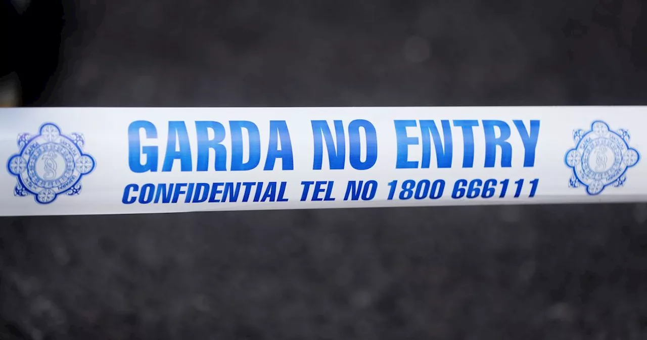 Man, 80s, tragically dies in house fire as Gardai attend scene