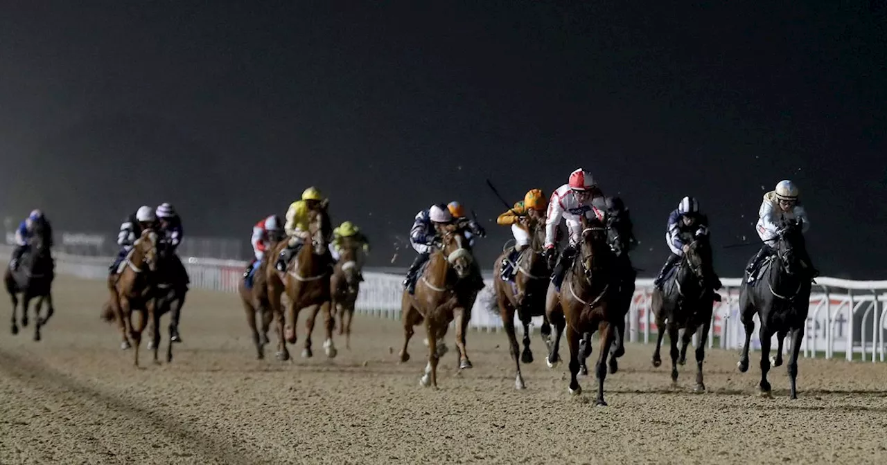 Newsboy’s Daily Double plus tips on every race from Friday’s four meetings