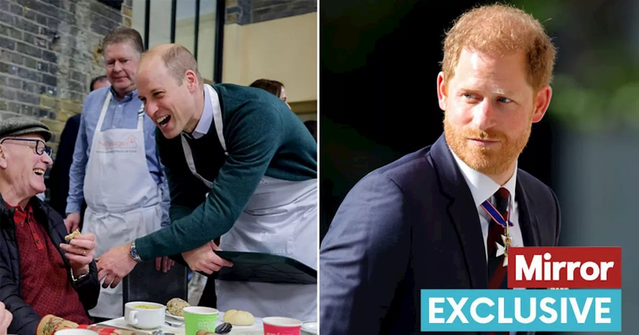 Prince Harry 'blinded by sour grapes' as William 'proves him wrong'