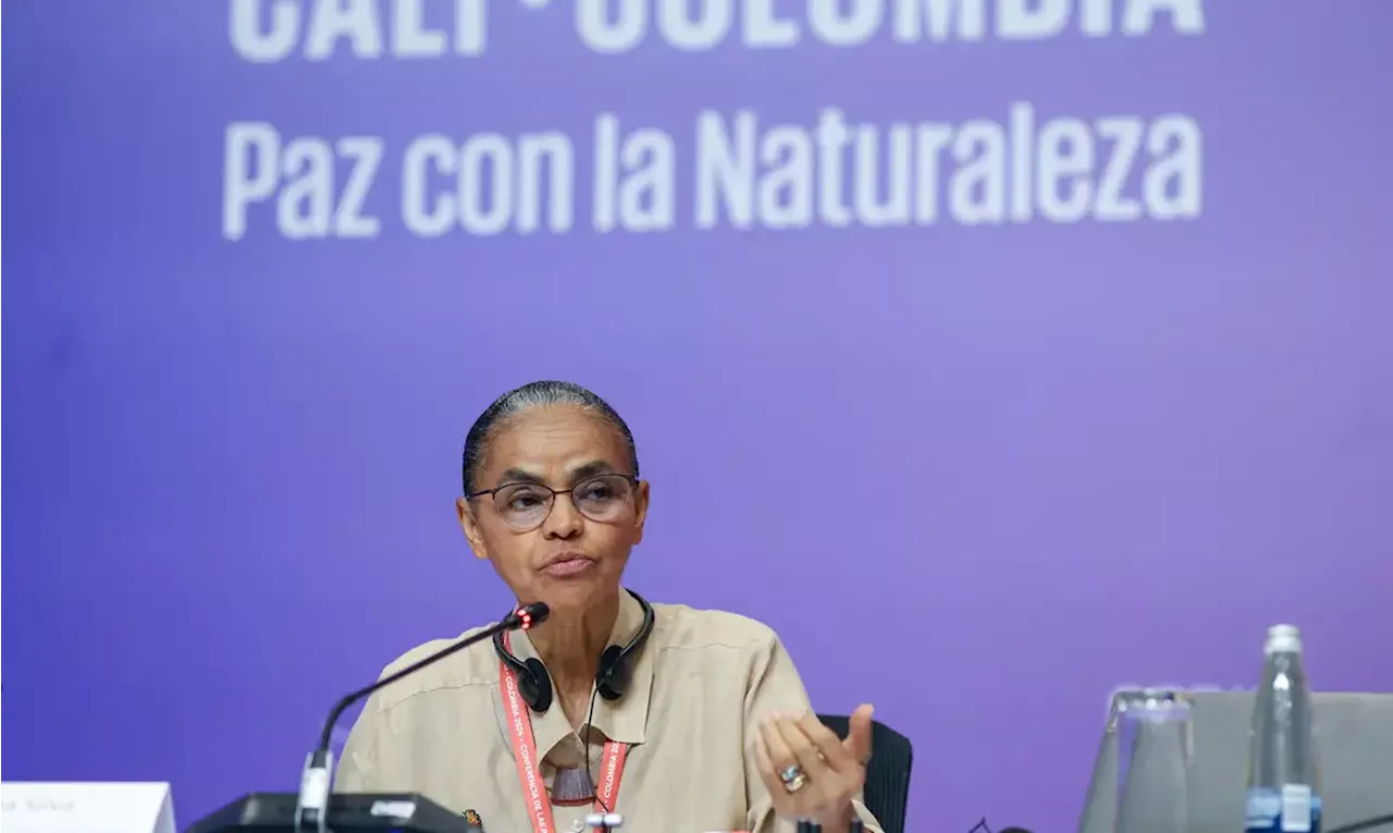 Marina Silva: Txai Suruí recebeu credencial e pedido de desculpas