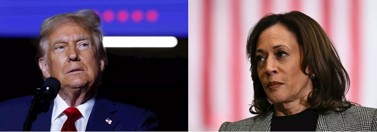 Quem é pior para o Brasil: Kamala Harris ou Donald Trump?