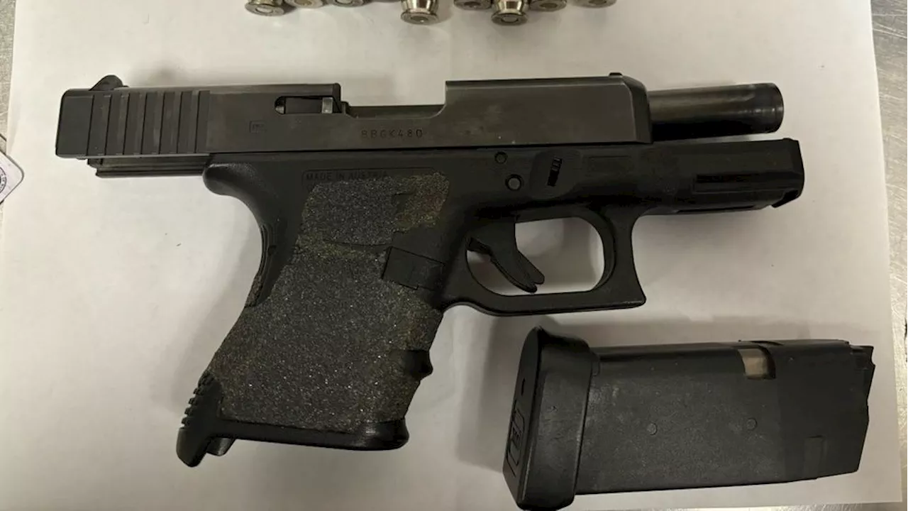 Sea-Tac airport likely to see record number of guns seized at TSA checkpoints