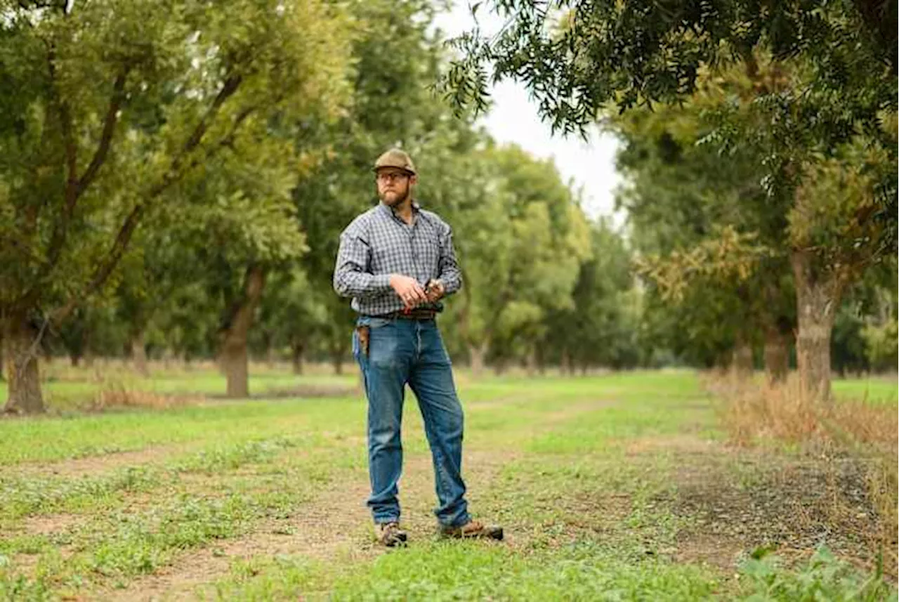 A West Texas pecan farm fights to save its water supply as neighbors sell it to growing cities