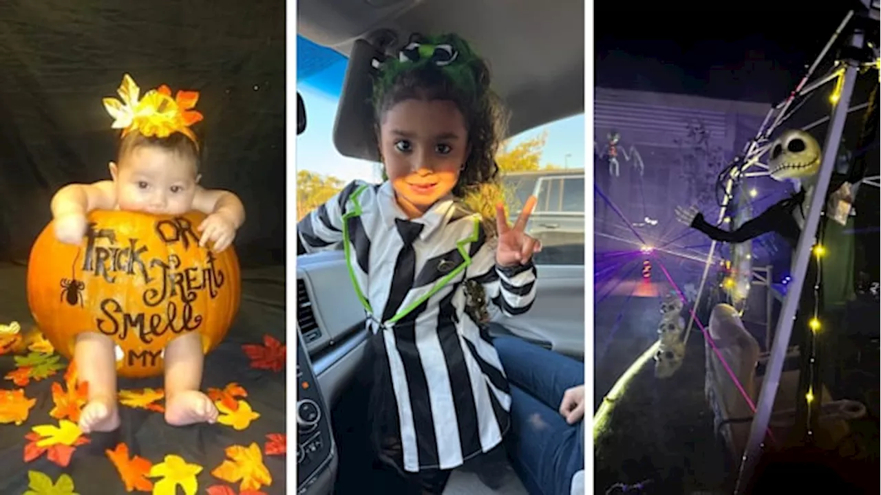 KSAT Connect: Viewers show off Halloween costumes, decor