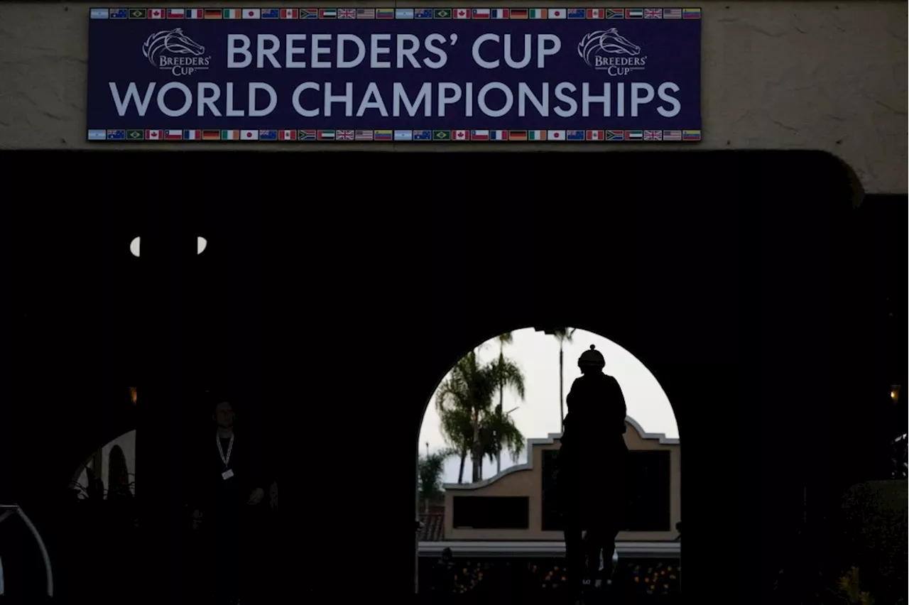 Horse racing: A bettors’ guide to the Breeders’ Cup races at Del Mar