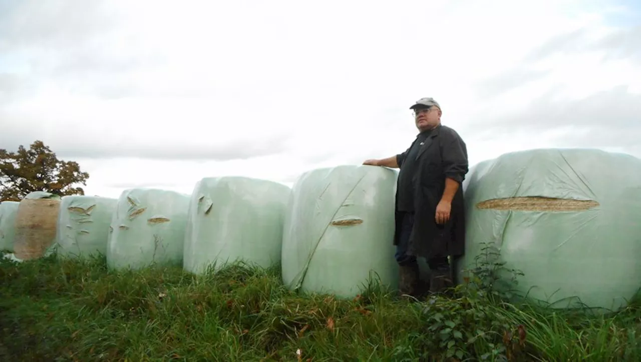 Un vandalisme inutile et gratuit : un agriculteur des Hautes-Pyrénées découvre 18 boules de foin tailladées !