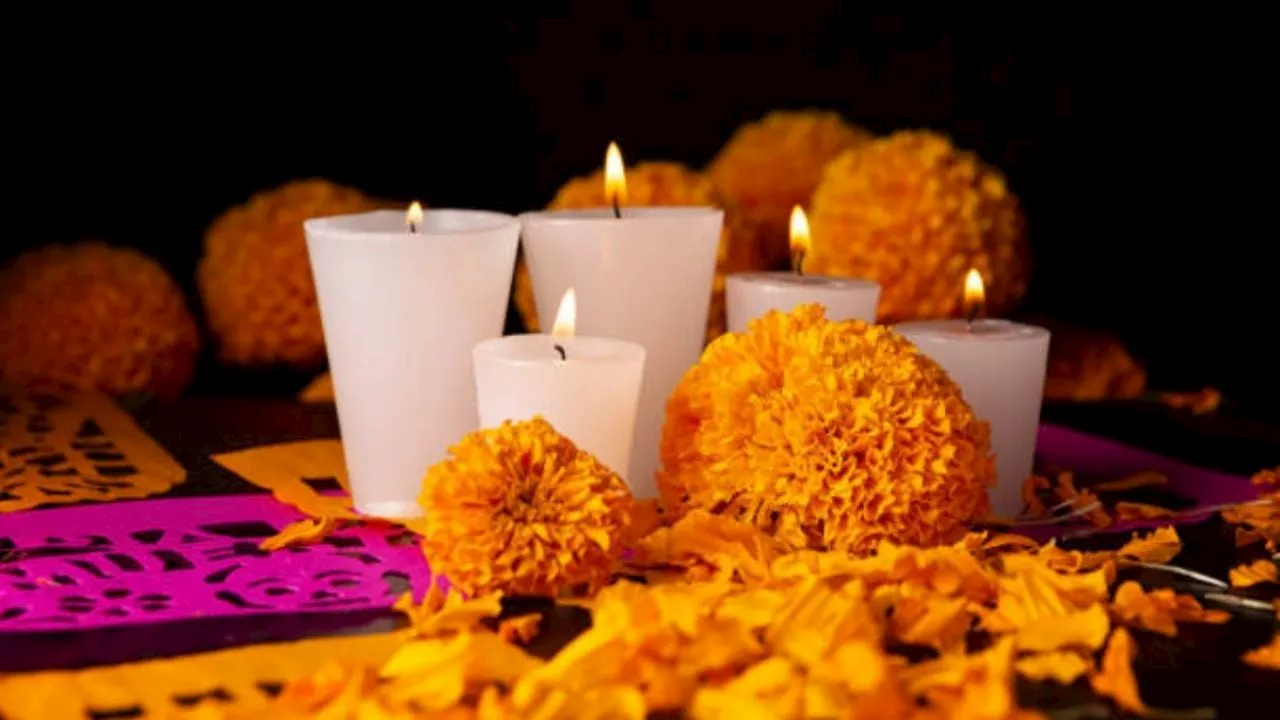 Día de Muertos 2024: ¿Qué pasa si no pones flor de cempasúchil en tu ofrenda?