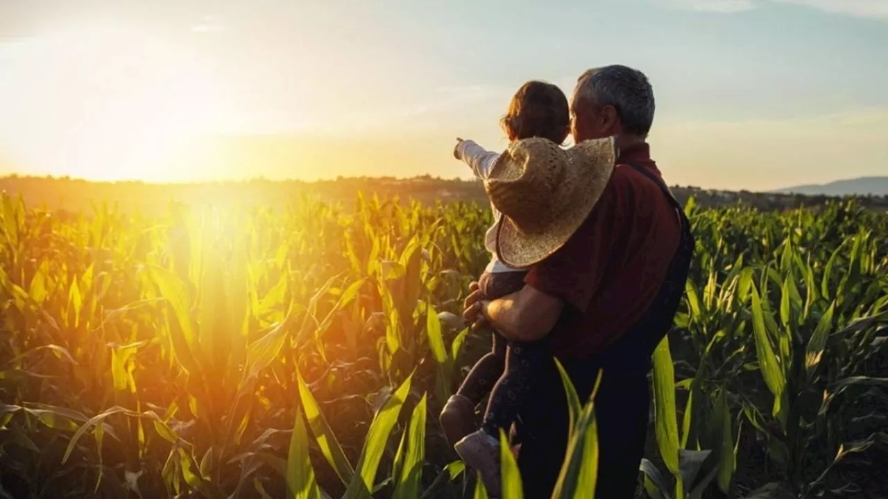 La buena vida, una búsqueda conjunta de las familias mexicanas y Nestlé