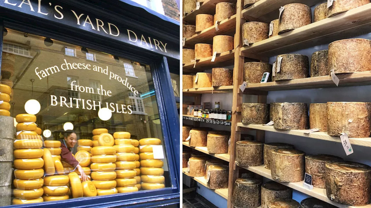 Met arrest 63-year-old man after thief swindled London cheesemaker Neal's Yard out of 22 tonnes of...