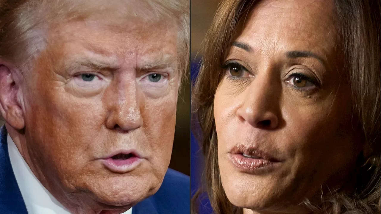 Donald Trump vs Kamala Harris : les petites phrases et punchlines qui ont marqué la campagne présidentielle