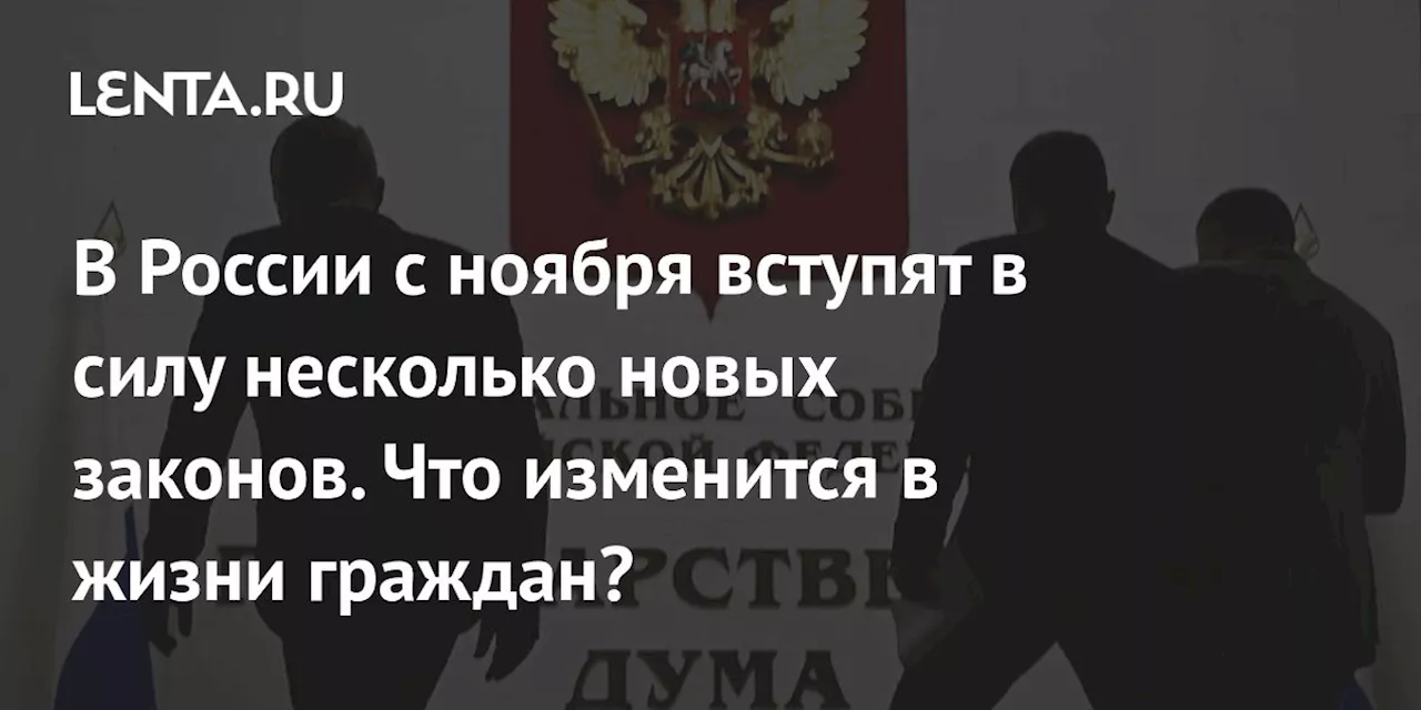 В России с ноября вступят в силу несколько новых законов. Что изменится в жизни граждан?