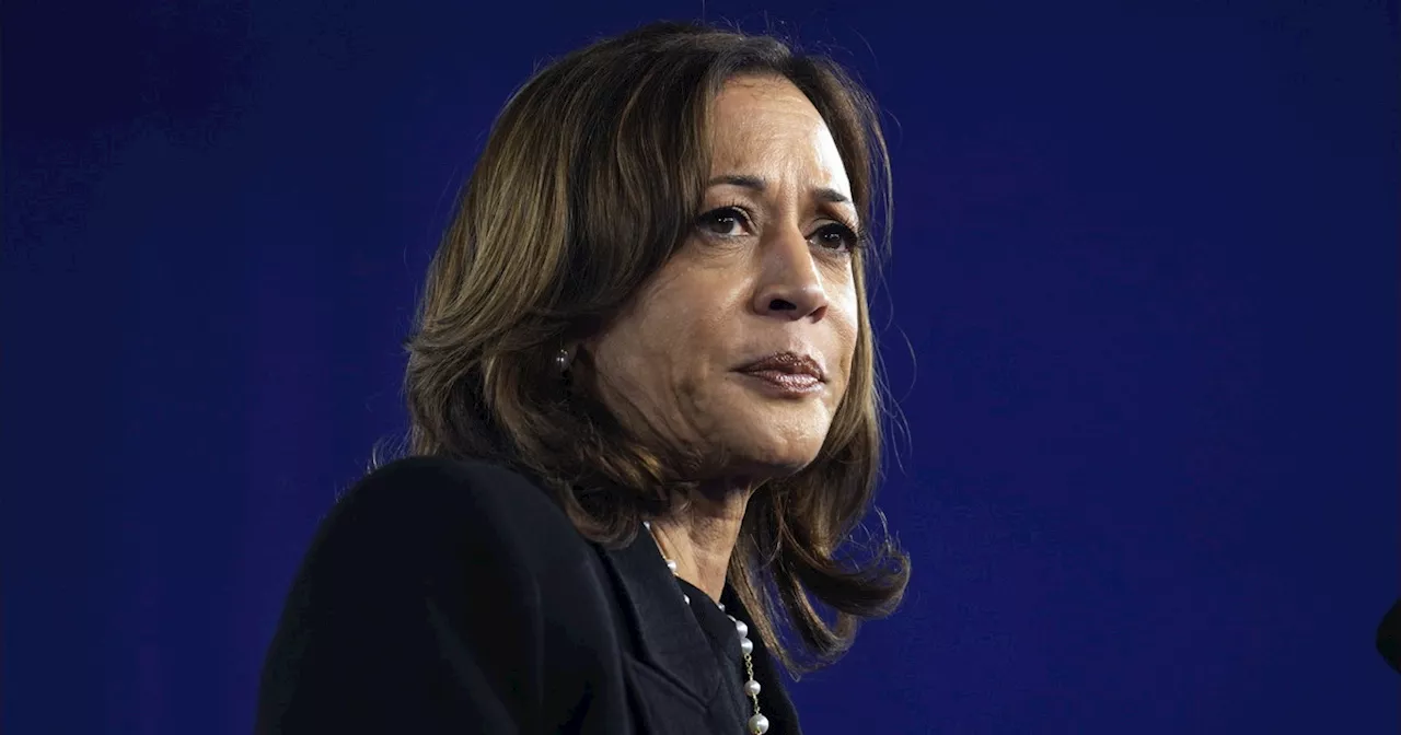 Usa 2024, l&#039;ultimo sondaggio è drammatico per Kamala Harris: dove vola Donald Trump