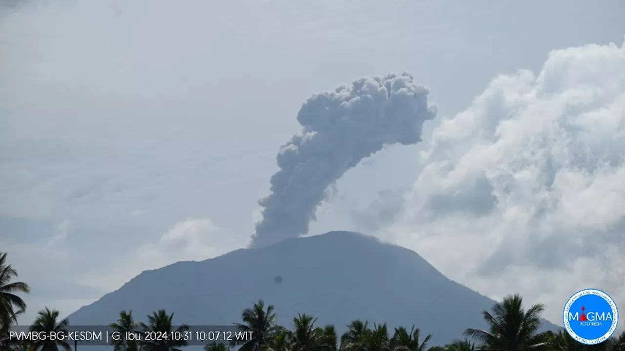 Gunung Ibu Erupsi Kamis Pagi 31 Oktober 2024, Semburkan Abu Vulkanik 1.000 Meter ke Arah Tenggara