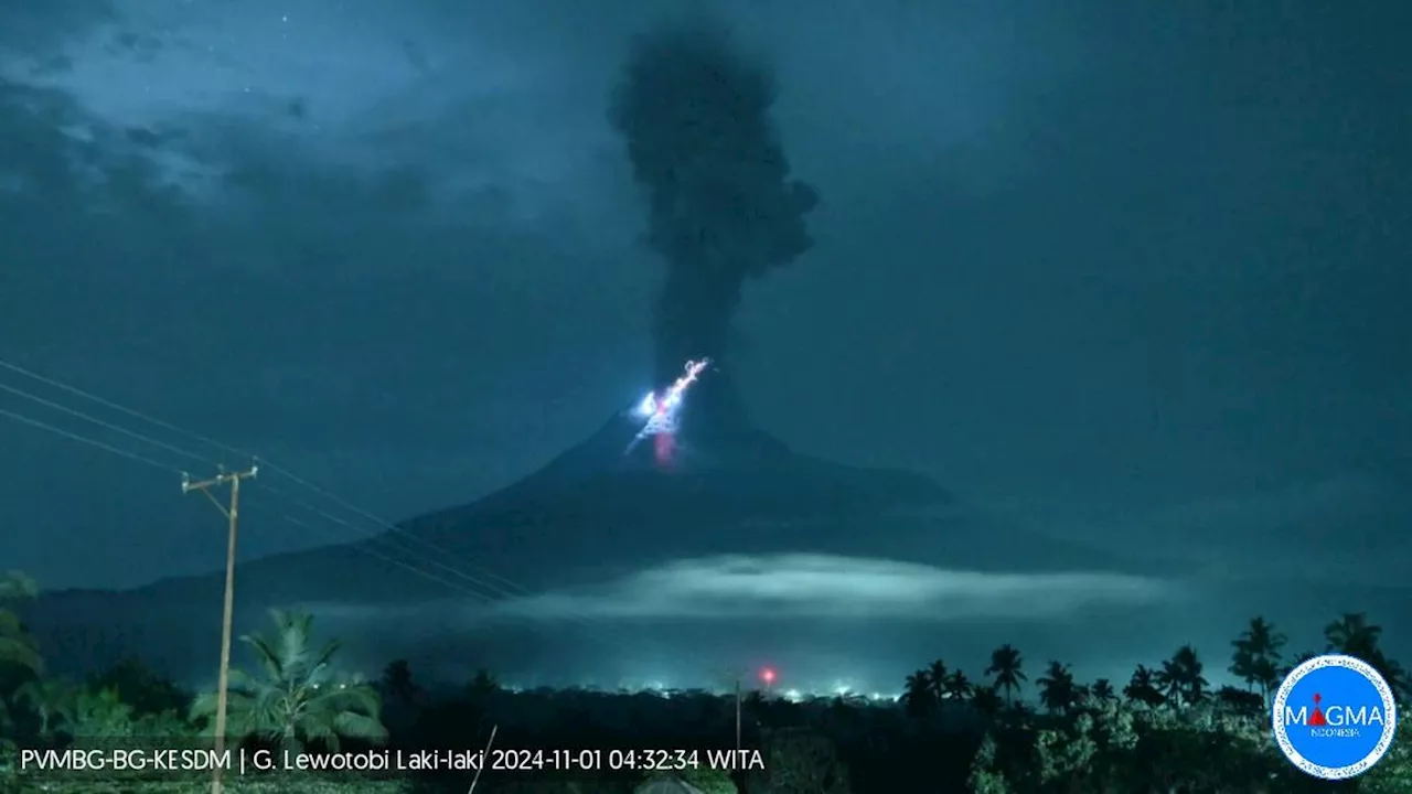 Gunung Lewotobi Laki-Laki Erupsi Lagi, Kolom Abu Capai 1.000 Meter, Waspada Radius Bahaya